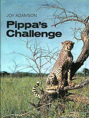 cover image of Pippa's Challenge